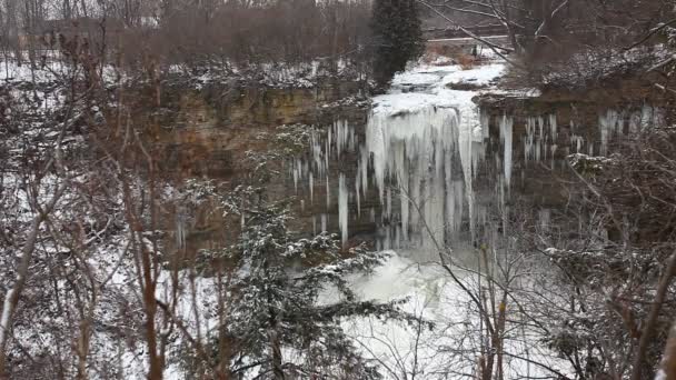 Scene Borers Falls Ontario Canada Winter — Stock Video