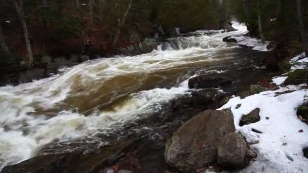 Brooks Falls Ontario Kanada — Stockvideo