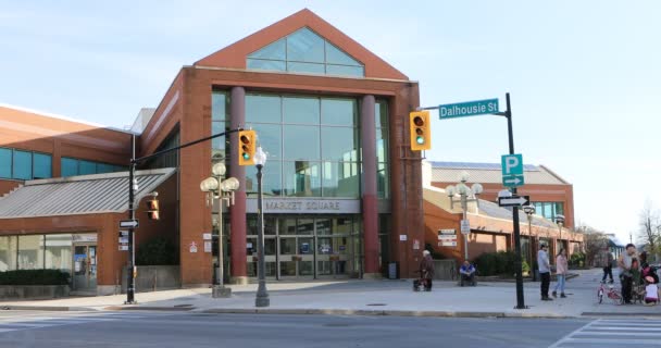 Brantford Ontario Canadá Noviembre 2020 Vista Del Centro Ciudad Brantford — Vídeos de Stock