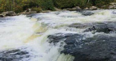 Ontario, Kanada 'daki Sauble Falls Sahnesi 4K