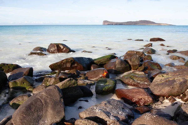 Una Escena Coatal Las Islas Galápagos —  Fotos de Stock