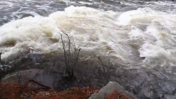 Crooked Chute Ontario Canada — Video