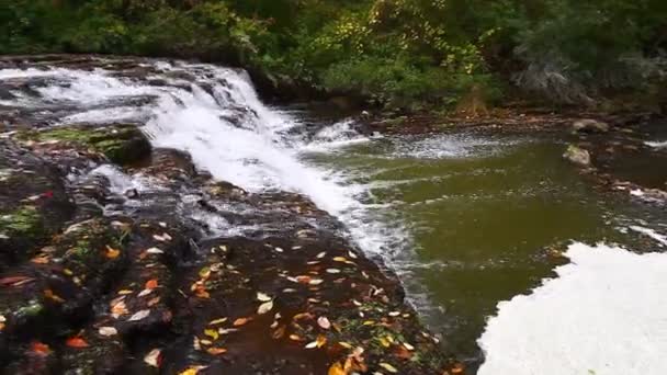 Kanada Ontario Daki Darnley Grist Mill Falls — Stok video