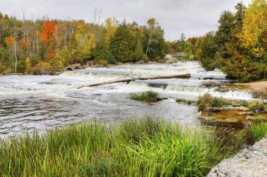 Ontario, Kanada 'da bir Sauble Falls manzarası