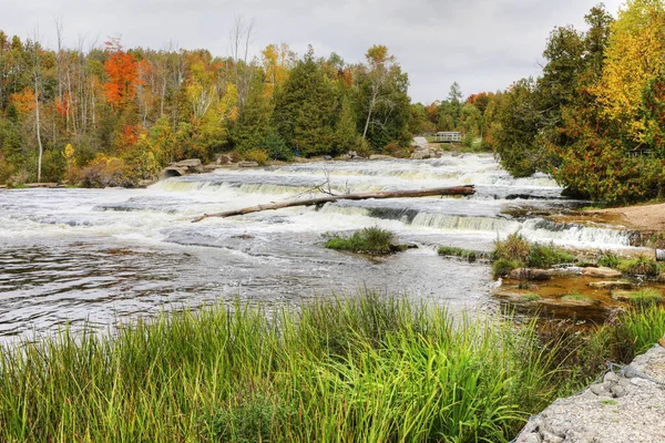 Una Vista Sauble Falls Ontario Canadá —  Fotos de Stock