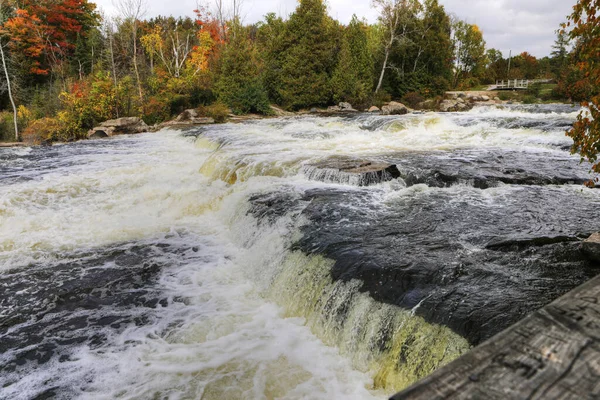 Sauble Falls Ontario Canadá —  Fotos de Stock