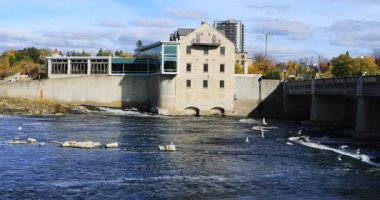 Cambridge, Ontario, Kanada Grand River 4K 'nın manzarası