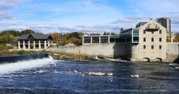 Cambridge Ontario Kanada Przy Grand River — Wideo stockowe