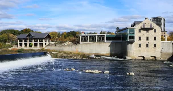 Cambridge Mill Grand River Cambridge Ontario Kanada — Wideo stockowe