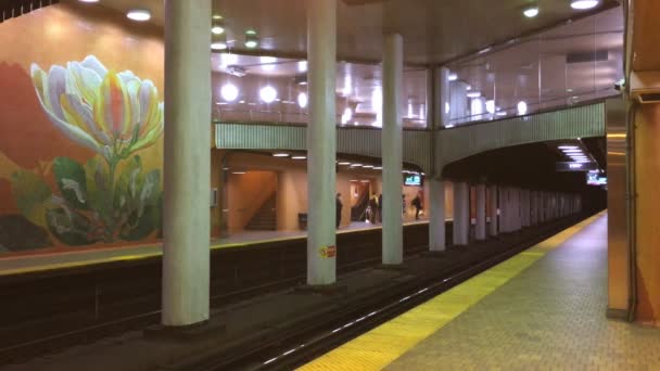 2018年9月16日カナダ オンタリオ州トロント ダポン駅の眺めトロントには現在4つの地下鉄路線があり 1954年に開業しました 1日あたり約2 75人の乗客がトロント交通システムを使用しています 9月16 2018 トロント — ストック動画
