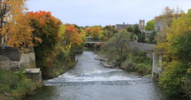 Büyük Nehir Fergus, Ontario, Kanada 4K sonbaharında