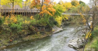 4K sonbaharında Kanada, Ontario, Fergus 'taki Grand River manzarası