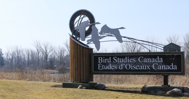 Port Rowan Ontario Canada March 2021 Bird Studies Canada Sign — Vídeos de Stock