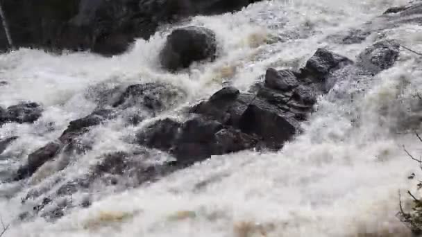 加拿大安大略省Duschesnay East Falls的场景 — 图库视频影像