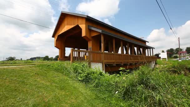 Vista Stutzman Covered Bridge Ohio Stati Uniti — Video Stock