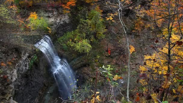 加拿大安大略省Felkers Falls景观 — 图库视频影像