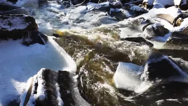 Blick Auf Die Great Falls Ontario Kanada Winter — Stockvideo