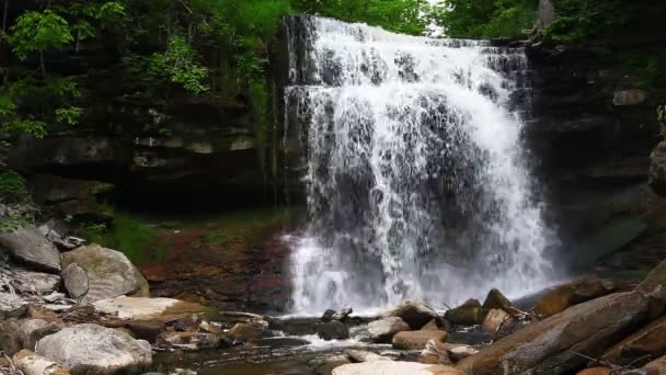 Widok Great Falls Ontario Kanada — Wideo stockowe