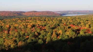 Sonbaharda Algonquin Ormanı