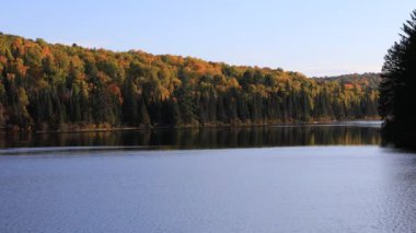 Algonquin Gölü ve sonbaharda ağaçlar