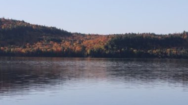 Algonquin 'deki sonbahar yapraklarının yansıması.
