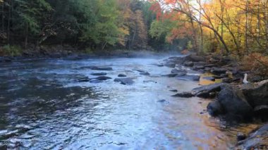 Sonbaharda Algonquin nehri üzerinde sis