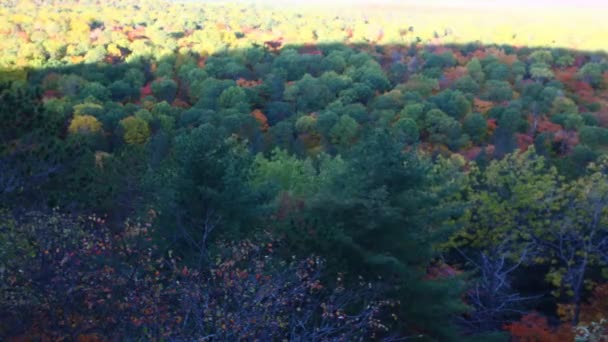 秋天阿尔贡昆湖与树木的时间 — 图库视频影像