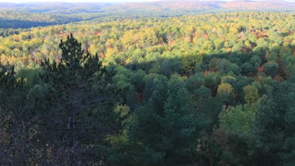 Timelapse Φθινοπωρινό Φύλλωμα Στο Algonquin — Αρχείο Βίντεο