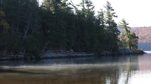 Восени Озера Альгонкін Здіймається Туман — стокове відео