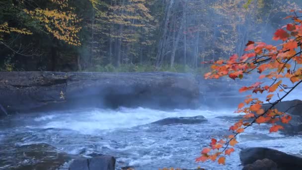 Correntes Rio Algonquin Belas Cores Outono — Vídeo de Stock