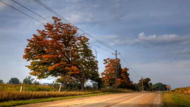 Временной взгляд на проселочную дорогу осенью — стоковое видео
