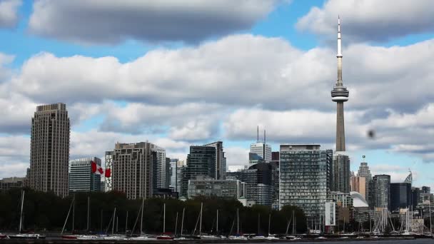 Uma vista de Toronto com barcos em primeiro plano — Vídeo de Stock