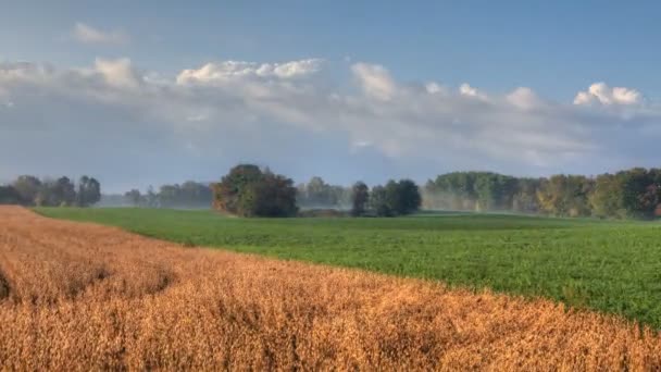 Vue en temps rural d'un champ et d'une prairie tôt le matin 