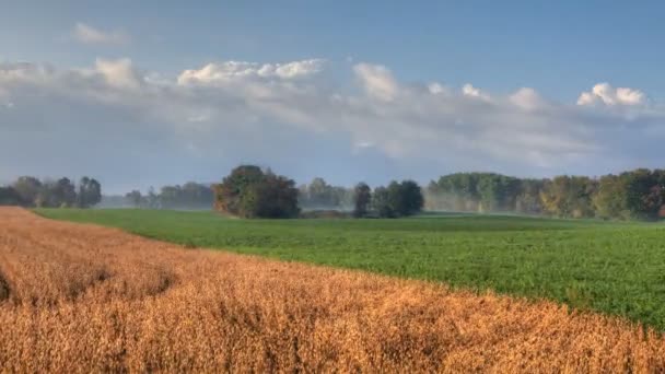 Una vista del timelapse rural de un campo y un prado temprano en la mañana — Vídeos de Stock