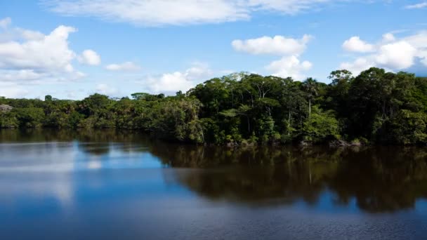 Una vista de lapso de tiempo de una laguna amazónica — Vídeo de stock