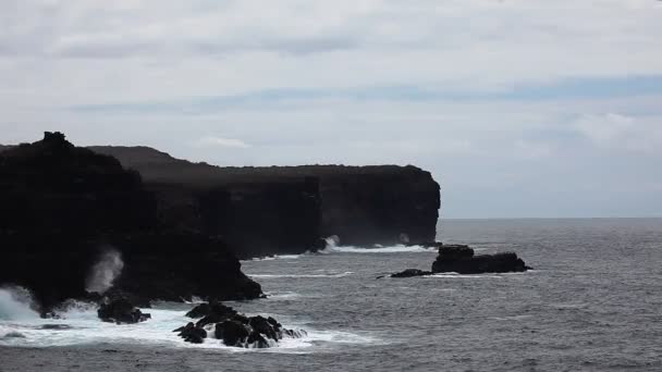 Galapagos Adaları'nda kıyıya dalgalar gürültüyle çarpmak — Stok video