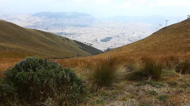 Quito şehir üzerinde aşağı bakıyor — Stok video