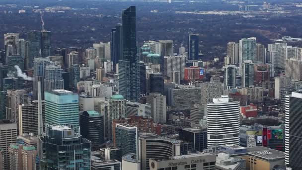 Vue aérienne des édifices de Toronto, au Canada — Video