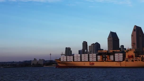 Nave container si trasferisce nel porto di San Diego — Video Stock