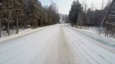 Bakış açısı sürücü (Pov) karlı koşullarında