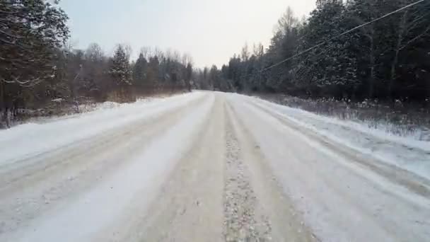 Aussichtsfahrt (pov) bei Eisglätte — Stockvideo