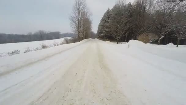 Точка огляду приводу (POV) в сніжних умовах — стокове відео