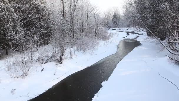 Ruisseau d'hiver avec une petite quantité d'eau libre — Video