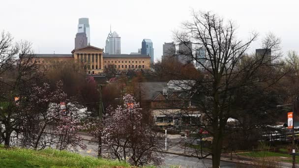 Paisaje urbano de Filadelfia con flores en primer plano — Vídeos de Stock