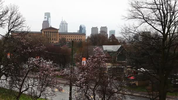 PHILADELPHIA, UNITED STATES - APRIL 19, 2015: Philadelphia SPRING with blossoms in the foreground — Stock Video