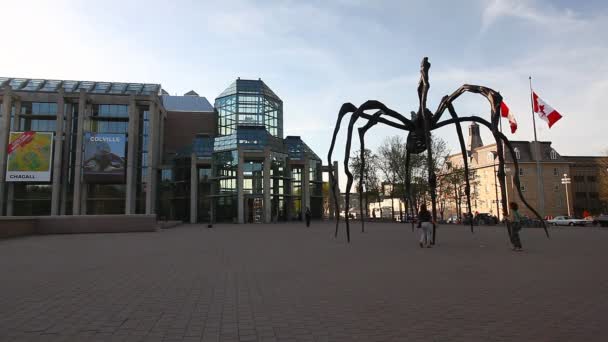 The National Gallery of Canada, Ottawa — Stock Video