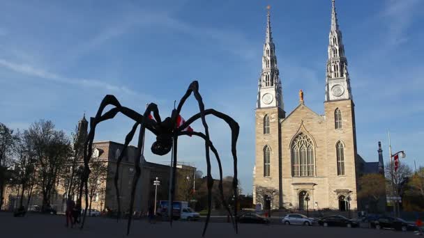 Die nationale galerie von canada und notre dame kathedrale, ottawa — Stockvideo