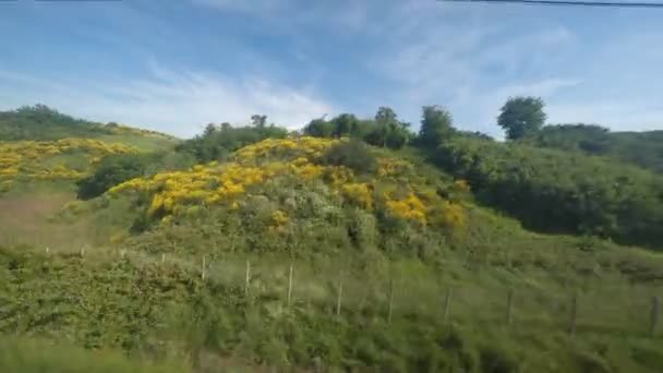 Med tanke på lugna landsbygden från ett tåg — Stockvideo