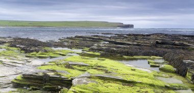 Bay Skaill, Orkney, İskoçya