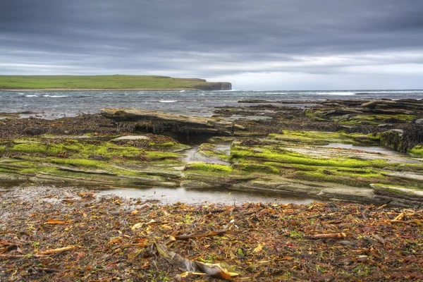 La Bahía de Skaill en Orcadas — Foto de Stock